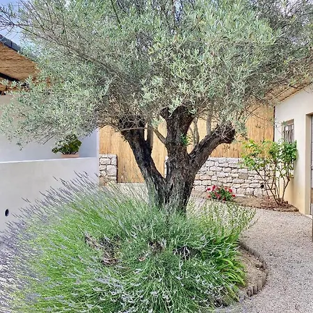 Le Cabanon Apartment Valbonne